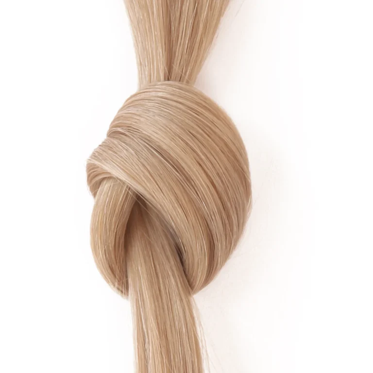 EXTENSIVES:STEXTL101