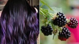 BERRY SEASON IS HERE…SO IS BLACKBERRY HAIR! Rockville, Maryland based hairstylist Megan Schipani created…