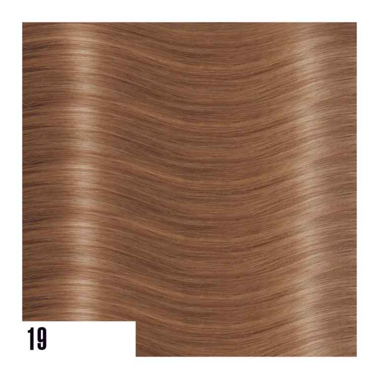 EXTENSIVES:STEXTL19