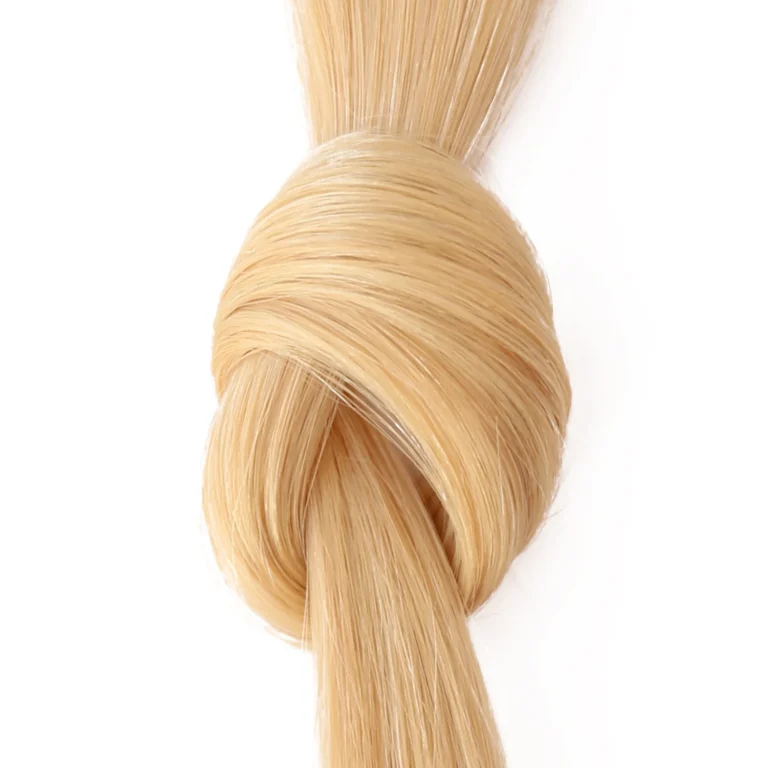 EXTENSIVES:STEXTL20