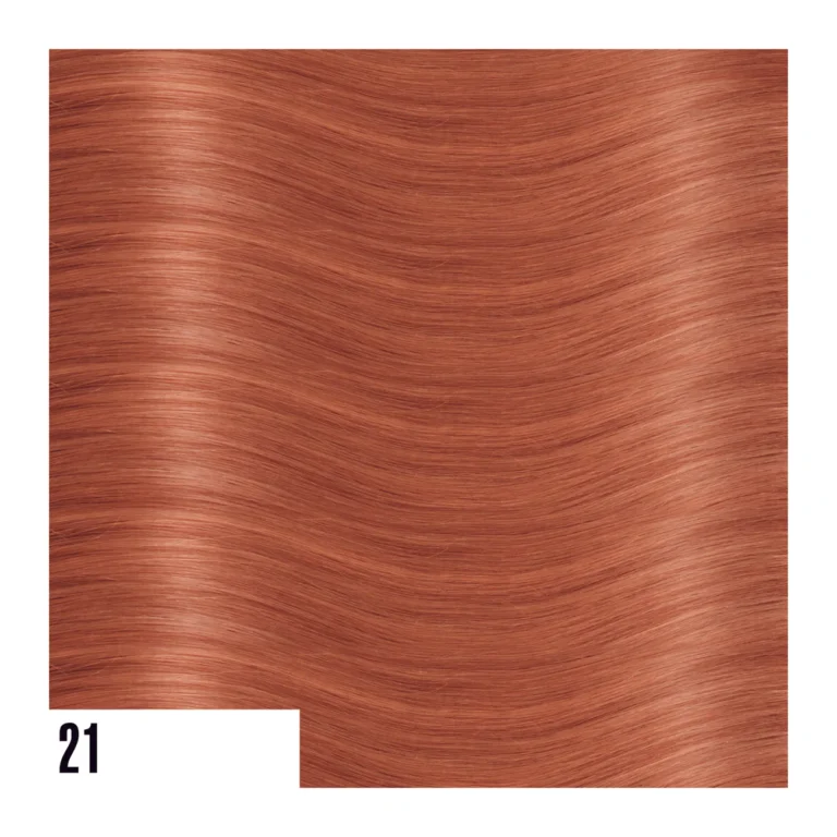 EXTENSIVES:STEXTM21