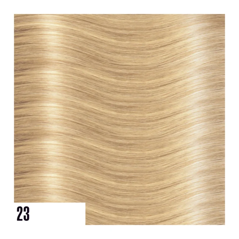 EXTENSIVES:STEXTL23