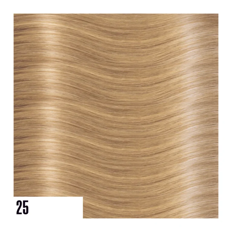 EXTENSIVES:STEXTM25