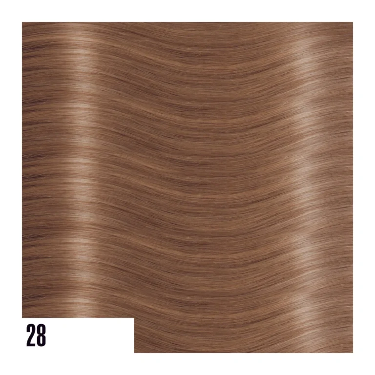 EXTENSIVES:STEXTM28