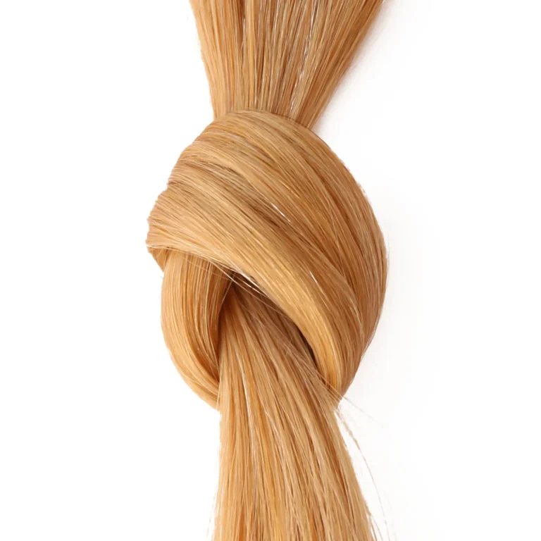 EXTENSIVES:STEXTMDB4