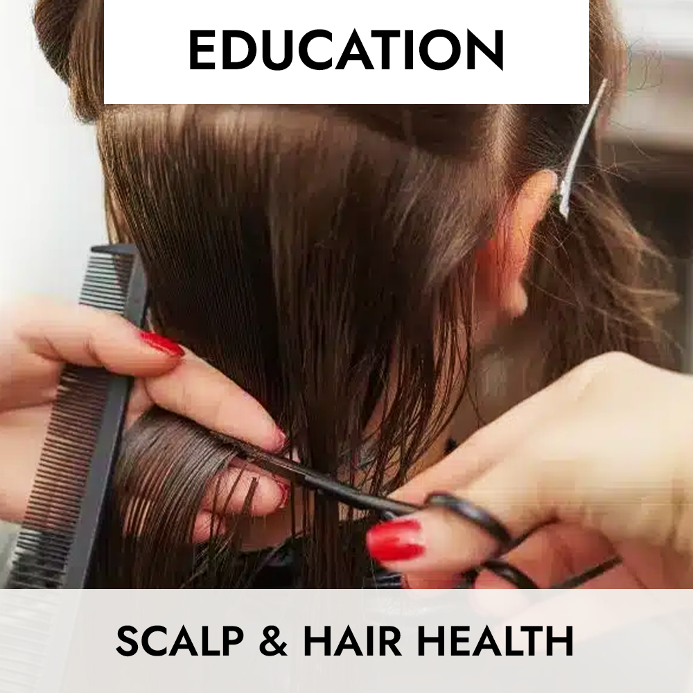 CLASS: Scalp & Hair Health